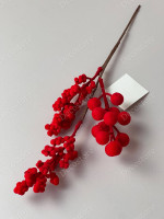 Ветка с бархатными ягодами