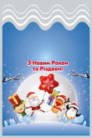 Пакети новорічні 20х30