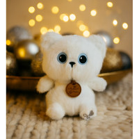 Котик Фелікс 