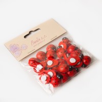 Божьи коровки декоративные