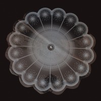 Серветка Ø 50  Білі дизайни