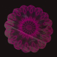 Серветка Ø 50 