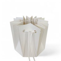 Аквабокс с фиксатором