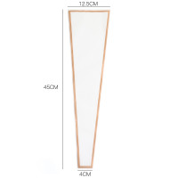 Пакет конусный 4/12,5/45 см ( 50 шт. )